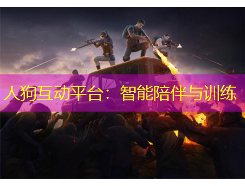 人狗互動平臺：智能陪伴與訓(xùn)練