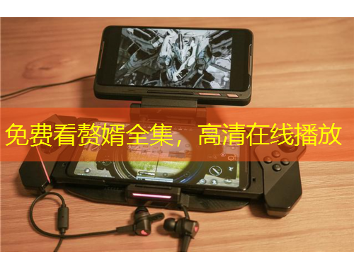 免費(fèi)看贅婿全集，高清在線播放