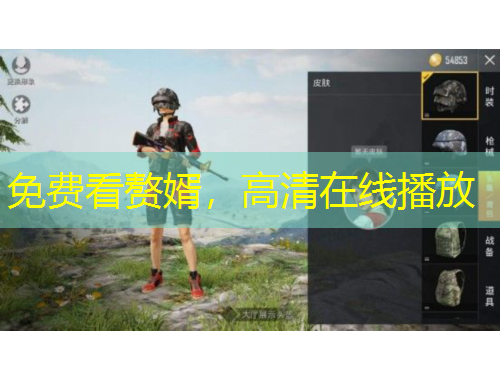 免費(fèi)看贅婿，高清在線播放