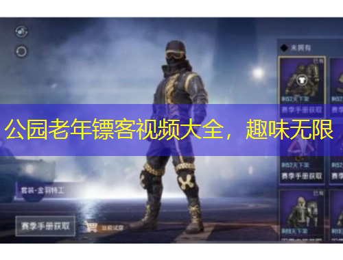 公園老年鏢客視頻大全，趣味無限