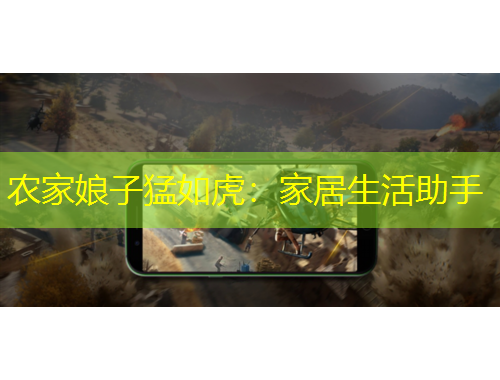 農(nóng)家娘子猛如虎：家居生活助手