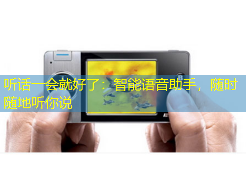 聽(tīng)話一會(huì)就好了：智能語(yǔ)音助手，隨時(shí)隨地聽(tīng)你說(shuō)