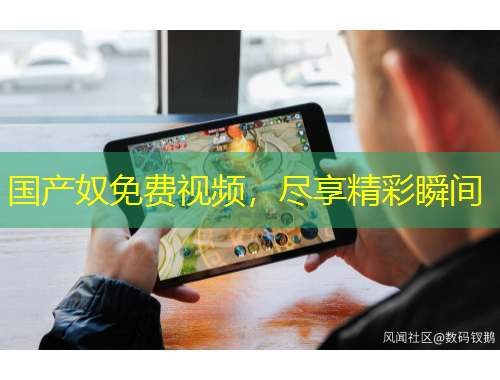 國產(chǎn)奴免費(fèi)視頻，盡享精彩瞬間