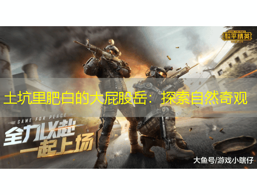 土坑里肥白的大屁股岳：探索自然奇觀