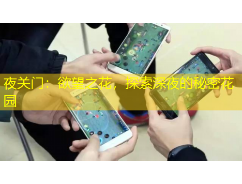 夜關(guān)門：欲望之花，探索深夜的秘密花園