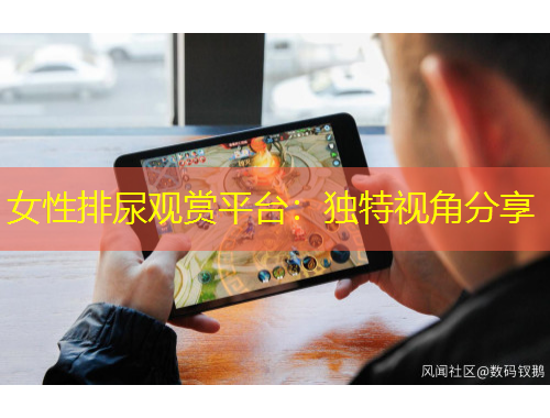 女性排尿觀賞平臺：獨特視角分享