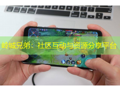 嶺城兄弟：社區(qū)互動與資源分享平臺