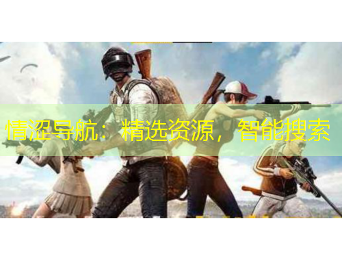 情澀導(dǎo)航：精選資源，智能搜索