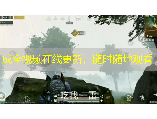 成全視頻在線更新，隨時(shí)隨地觀看