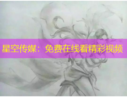 星空傳媒：免費在線看精彩視頻