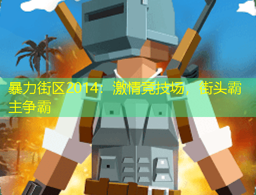 暴力街區(qū)2014：激情競技場，街頭霸主爭霸