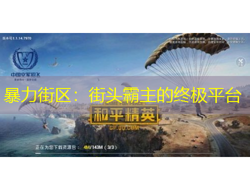 暴力街區(qū)：街頭霸主的終極平臺(tái)