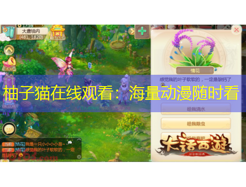 柚子貓在線觀看：海量動漫隨時看