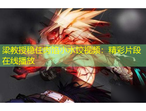 梁教授穩(wěn)住肉餡小水餃視頻：精彩片段在線播放