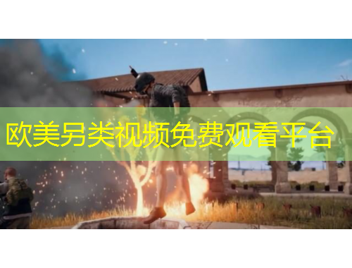 歐美另類(lèi)視頻免費(fèi)觀看平臺(tái)