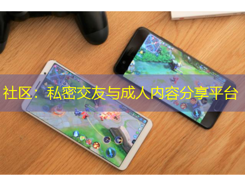 社區(qū)：私密交友與成人內(nèi)容分享平臺(tái)