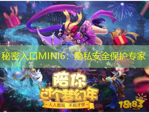 秘密入口MINI6：隱私安全保護(hù)專家