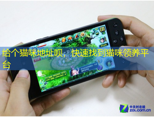 給個貓咪地址唄，快速找到貓咪領(lǐng)養(yǎng)平臺