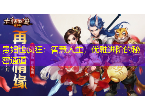 貴婦也瘋狂：智慧人生，優(yōu)雅進(jìn)階的秘密通道