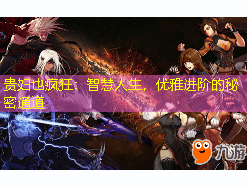 貴婦也瘋狂：智慧人生，優(yōu)雅進(jìn)階的秘密通道