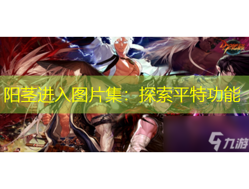 陽莖進(jìn)入圖片集：探索平特功能