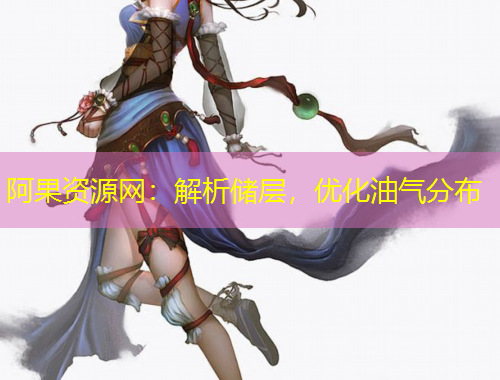 阿果資源網(wǎng)：解析儲(chǔ)層，優(yōu)化油氣分布