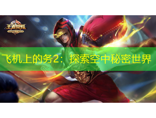 飛機上的務(wù)2：探索空中秘密世界