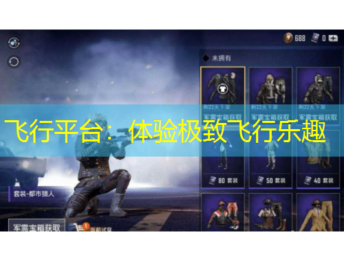 飛行平臺：體驗極致飛行樂趣