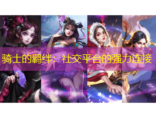 騎士的羈絆：社交平臺的強(qiáng)力連接