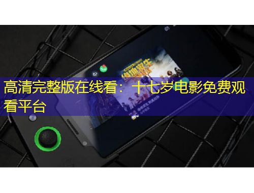 高清完整版在線(xiàn)看：十七歲電影免費(fèi)觀看平臺(tái)