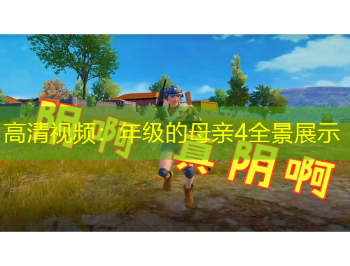 高清視頻：年級(jí)的母親4全景展示