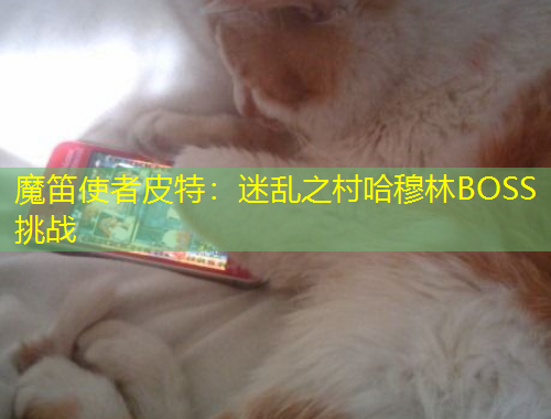 魔笛使者皮特：迷亂之村哈穆林BOSS挑戰(zhàn)