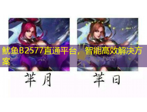 魷魚B2577直通平臺，智能高效解決方案