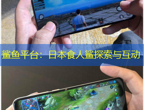 鯊魚平臺：日本食人鯊探索與互動