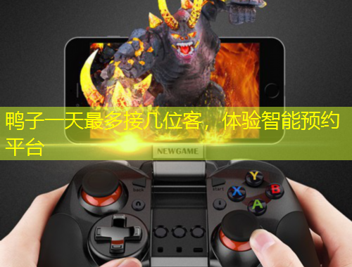 鴨子一天最多接幾位客，體驗(yàn)智能預(yù)約平臺(tái)
