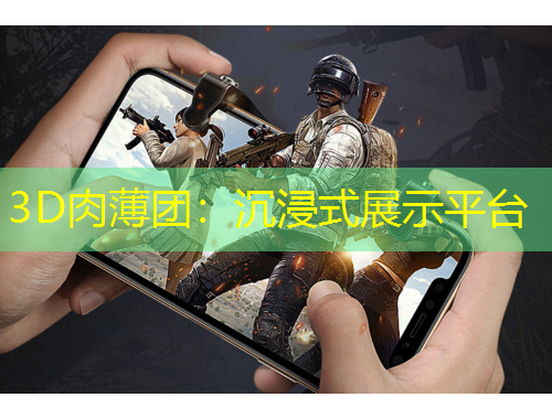 3D肉薄團：沉浸式展示平臺