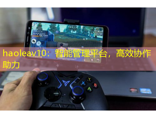 haoleav10：智能管理平臺(tái)，高效協(xié)作助力