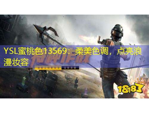 YSL蜜桃色13569：柔美色調(diào)，點(diǎn)亮浪漫妝容