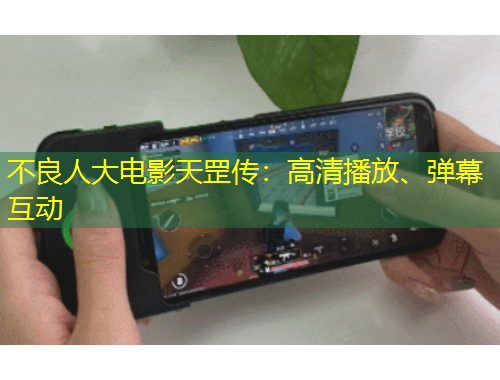 不良人大電影天罡?jìng)鳎焊咔宀シ?、彈幕互?dòng)