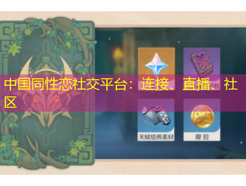 中國同性戀社交平臺(tái)：連接、直播、社區(qū)