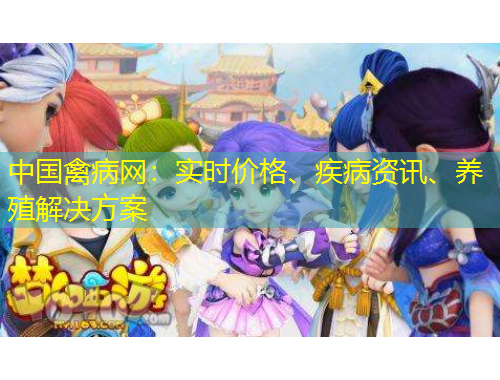 中國禽病網(wǎng)：實(shí)時價格、疾病資訊、養(yǎng)殖解決方案