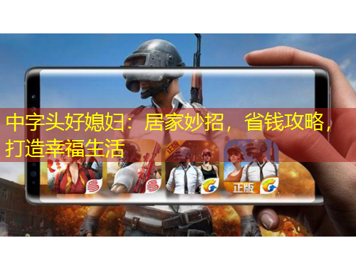 中字頭好媳婦：居家妙招，省錢攻略，打造幸福生活