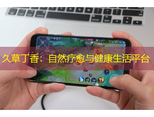 久草丁香：自然療愈與健康生活平臺