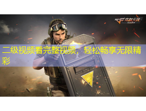 二級視頻看完整視頻，輕松暢享無限精彩