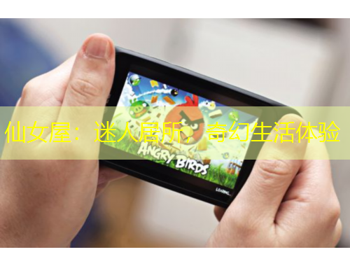 仙女屋：迷人居所，奇幻生活體驗(yàn)