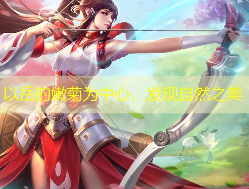 以岳的嫩菊為中心，發(fā)現(xiàn)自然之美