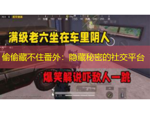 偷偷藏不住番外：隱藏秘密的社交平臺(tái)