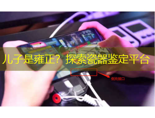 兒子是雍正？探索瓷器鑒定平臺(tái)