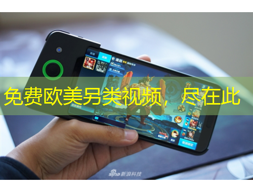 免費(fèi)歐美另類視頻，盡在此