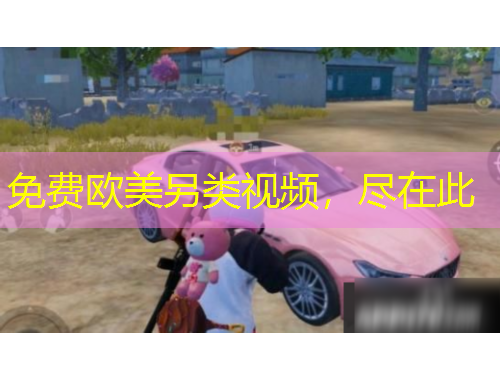 免費(fèi)歐美另類視頻，盡在此